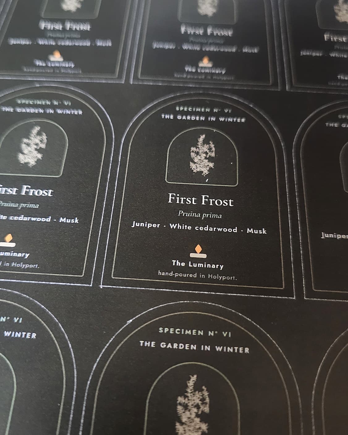 A printed sheet of arched First Frost front labels, white type and a frost engraving on black, one in sharp focus.