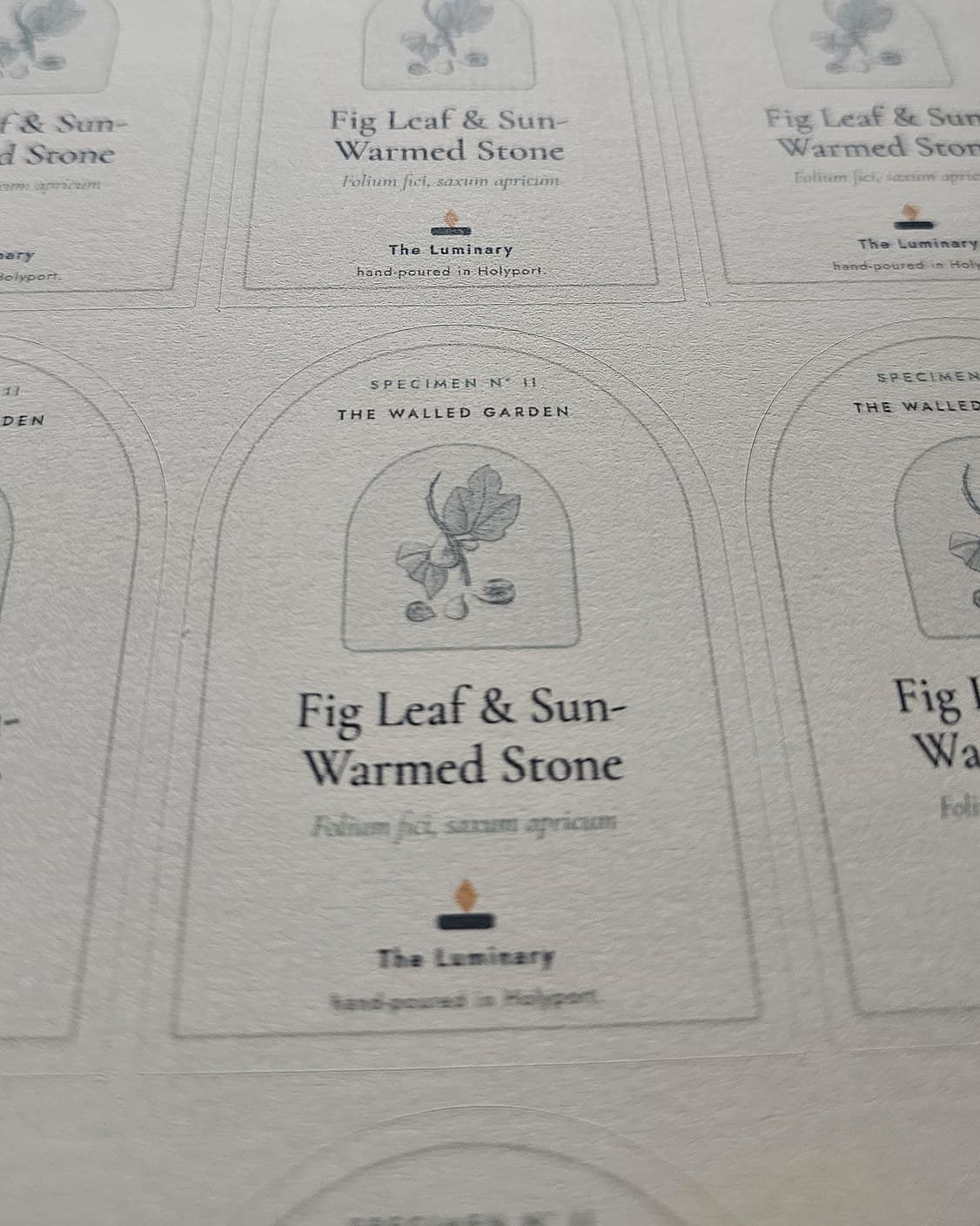 A printed sheet of arched Fig Leaf & Sun-Warmed Stone front labels on textured paper, one in sharp focus.