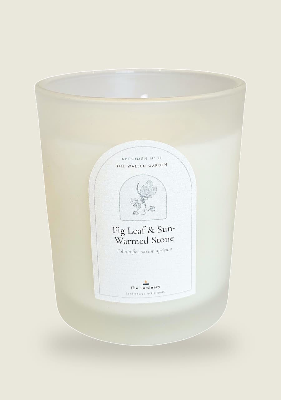 Fig Leaf & Sun-Warmed Stone candle, arched specimen label on a frosted 20cl jar